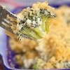 Broccoli Bleu Cheese Bake